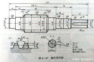Nam Phi luôn thu hút du khách bởi không gian sống hoang dã.